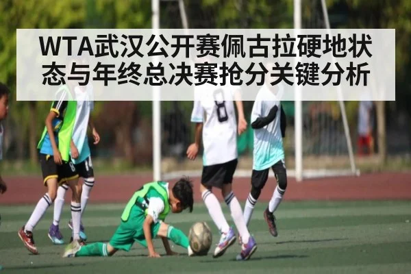 WTA武汉公开赛佩古拉硬地状态与年终总决赛抢分关键分析 | kaiyun
